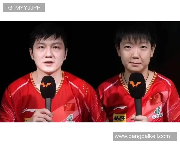 南京乒乓球队的拼搏历程与大满贯荣耀的背后故事